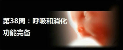 怀孕第38周